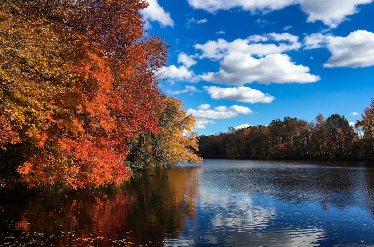 Breathtaking autumn lake scene with vibrant foliage in Voorhees Township, NJ.